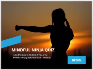 Mindfulness Quiz