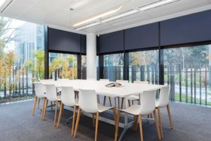 Mindful Leadership Workshop
